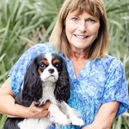 A photo of Dr. Karen Spencer holding a King Charles Cavalier Spaniel against a background of palm trees